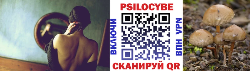 omg ССЫЛКА купить сайты Вуктыл Псилоцибиновые грибы GOLDEN TEACHER